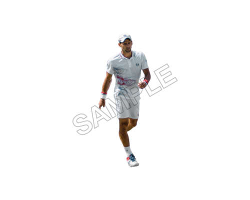 novak djokovic sample image png