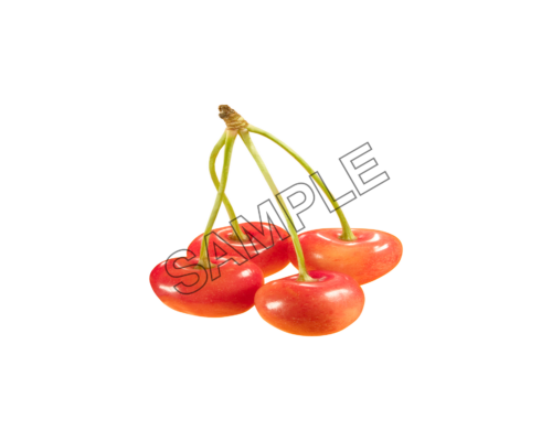 cherry rainier sample image png