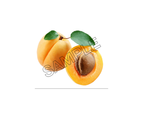 apricot slice sample image png