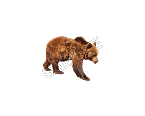 animals sample image png