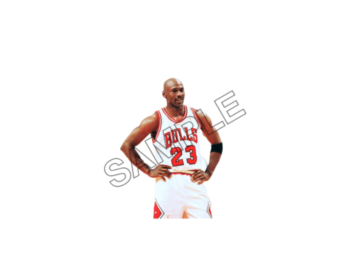 michael jordan sample image png