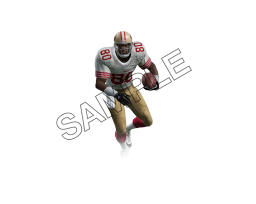 jerry rice sample image png