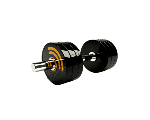 body building 25 Kgs sample image png