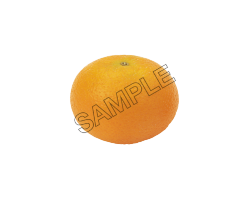 orange fresh sample image png