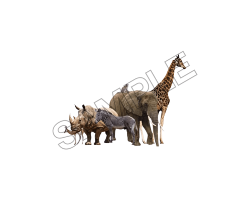 animals sample image png