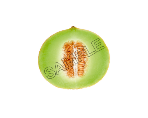 melon section sample image png