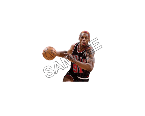 dennis rodman sample image png