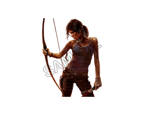 lara croft handsome sample image png