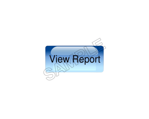 view report sample image png