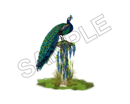 peacock sample image png