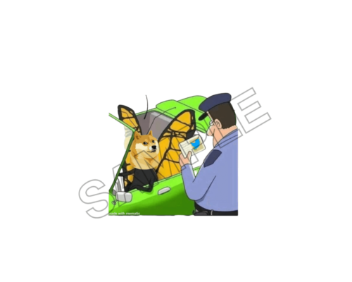 twiiter dogecoin sample image png