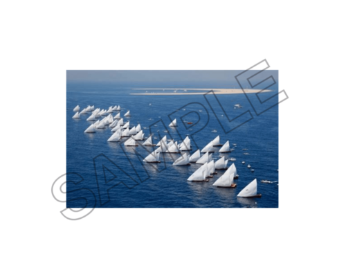 sailing and yachting sample image png