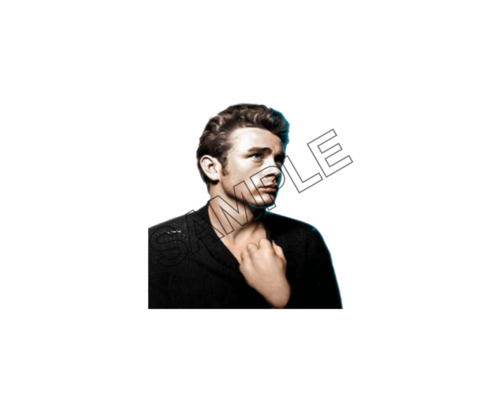 james dean heart breaker sample image png