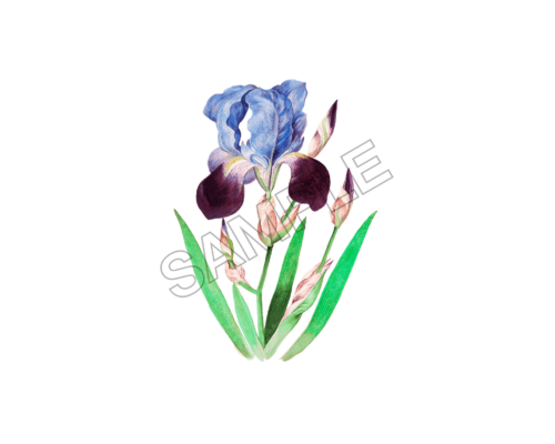 flowers sample image png