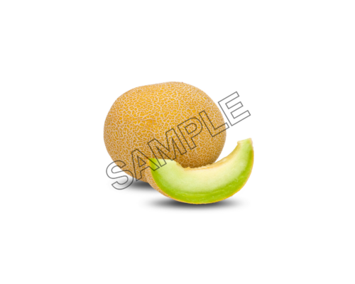 melon well sample image png