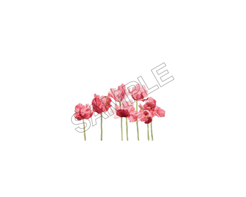 flowers sample image png