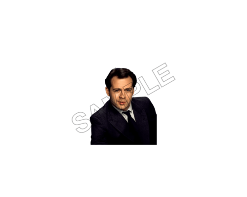 actor , comedian bruce willis sample image png