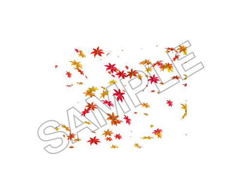 flowers sample image png