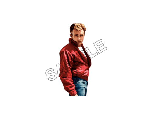 james dean pose sample image png