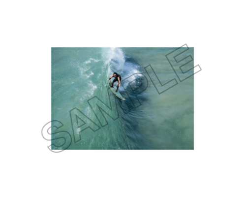 dubai surfing sample image png