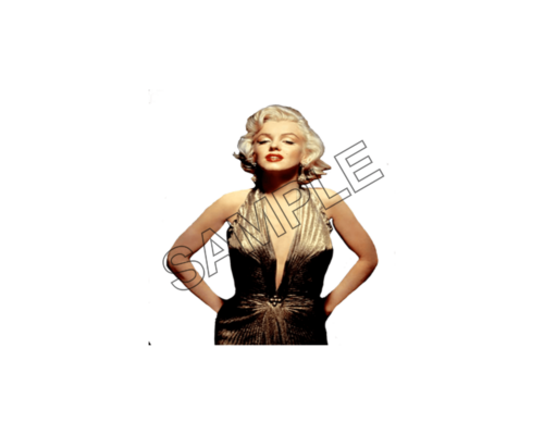 Marilyn Monroe Leading Lady sample image png