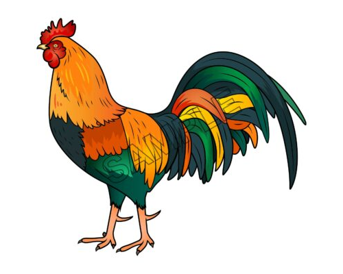 Angry Cock Rooster