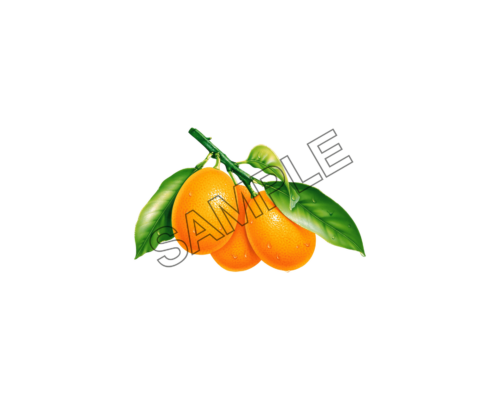 orange delightful sample image png