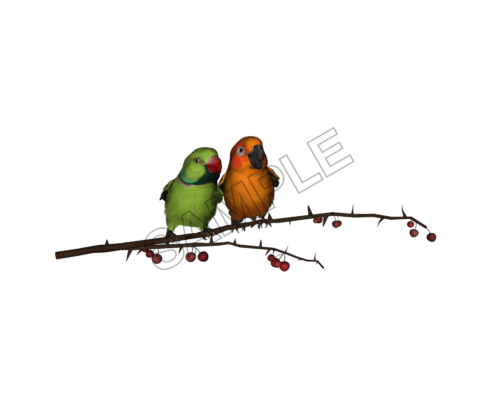 love birds sample image png