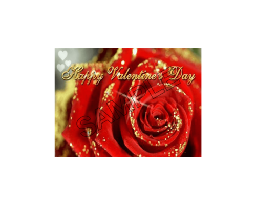 valentines day rose sample image png