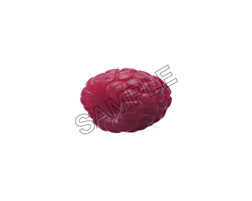 raspberry purple sample image png