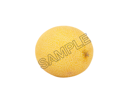 melon king fit sample image png