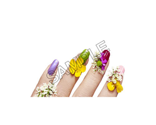 finger nails colored sample image png