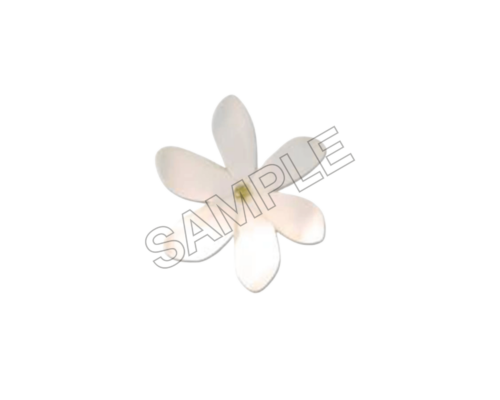 tahiti summer sample image png