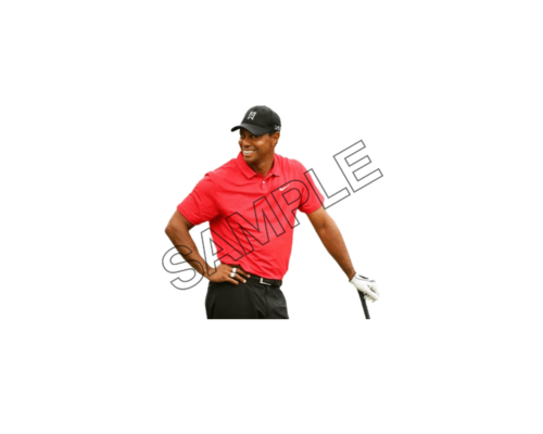 tiger woods sample image png