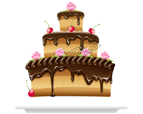 chocolate cake sample image png