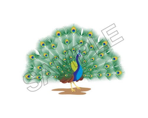 peacock sample image png