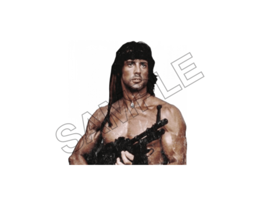 Sylvester Stallone sample image png