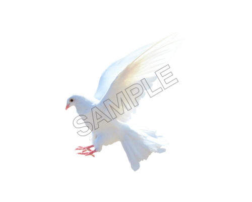 animals sample image png