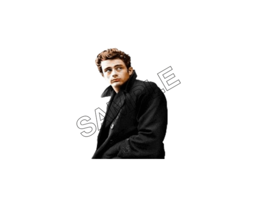 james dean in Balck Coat sample image png