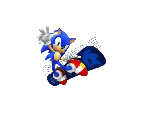 sonic the hedgehog skate-boarding sample image png