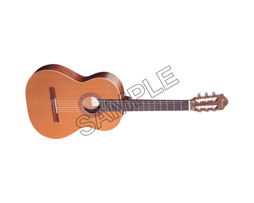 acoustic dreadnought guitar sample png