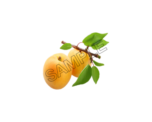 apricot ocean sample image png