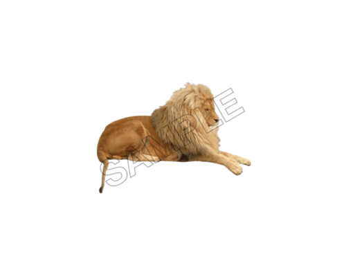 animals sample image png