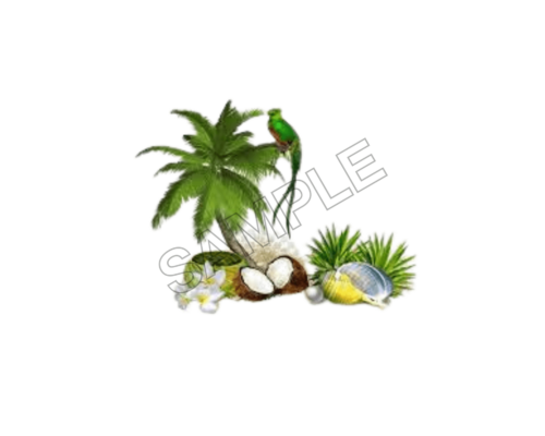 summer fun sample image png