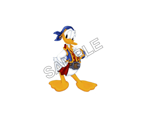 Donald Duck pirate sample image png