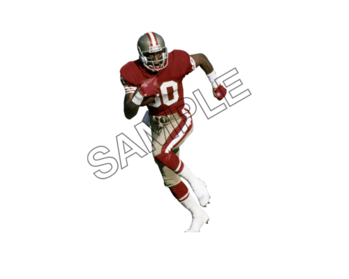 jerry rice sample image png