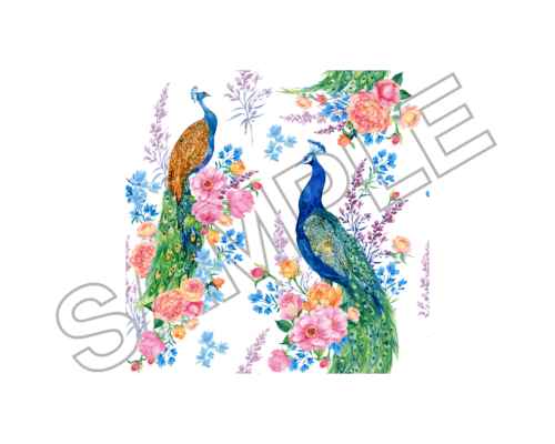 peacock sample image png