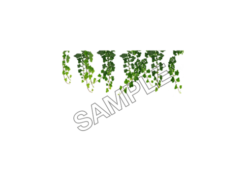 vine aerial sample image png