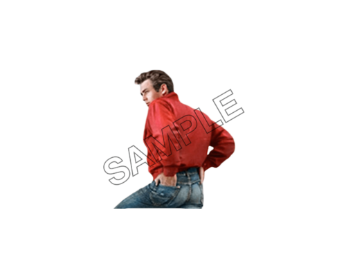 james dean cool sample image png