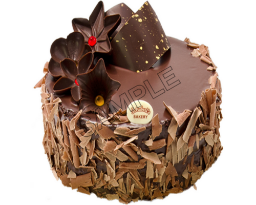 chocolate cake sample image png